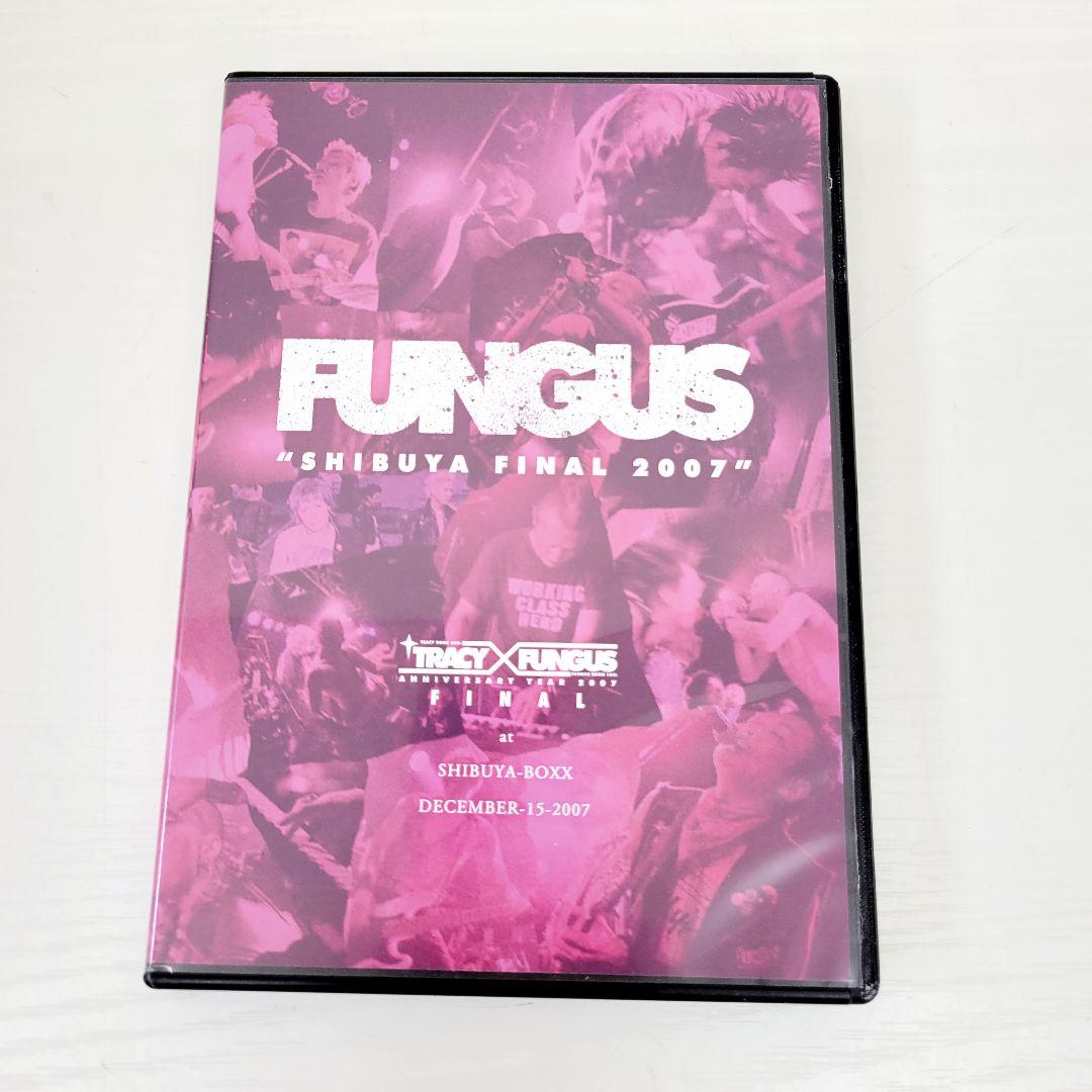 9 TRACY BORN 20th TRACY DVD セット