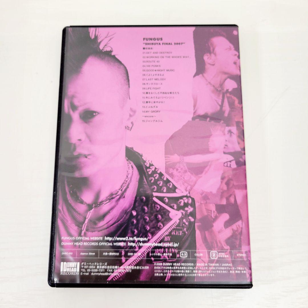 9 TRACY BORN 20th TRACY DVD セット