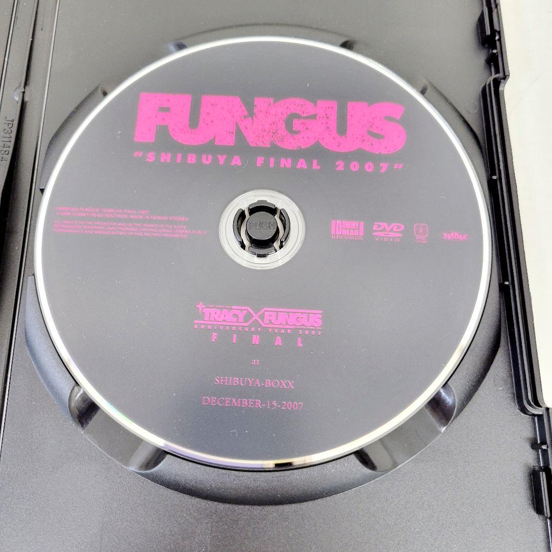 9 TRACY BORN 20th TRACY DVD セット