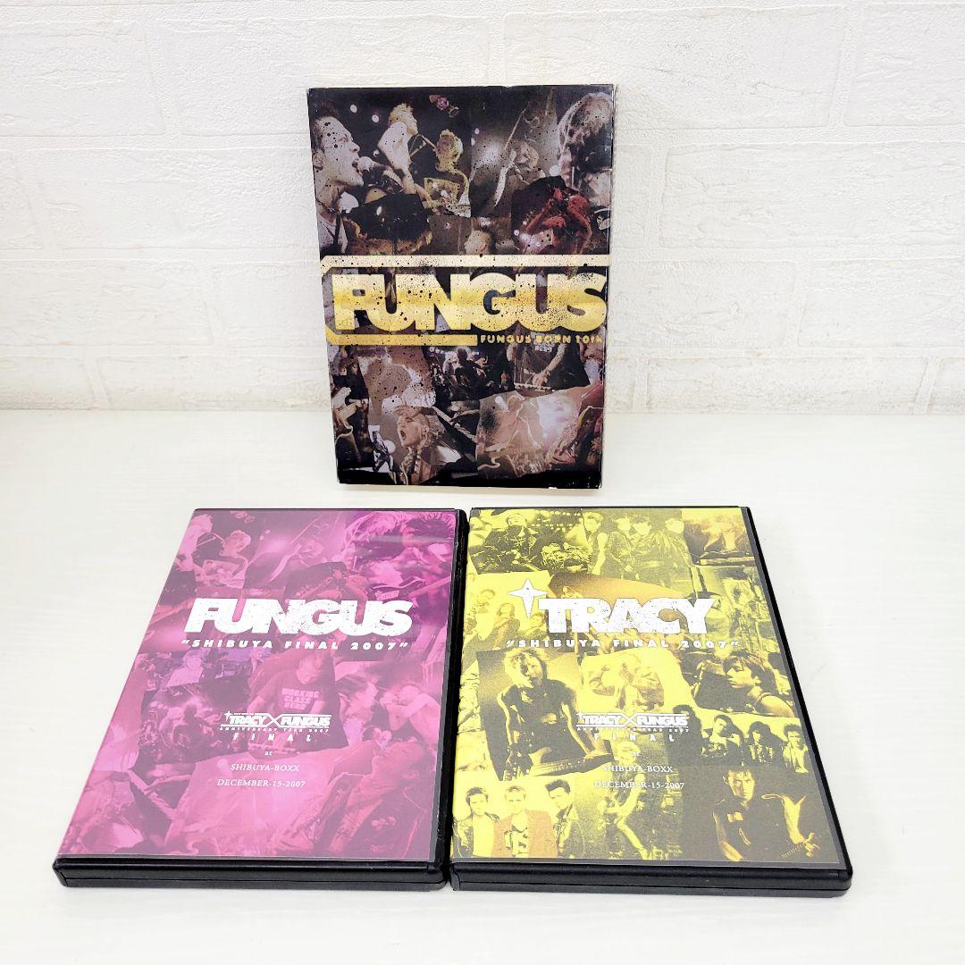 9 TRACY BORN 20th TRACY DVD セット