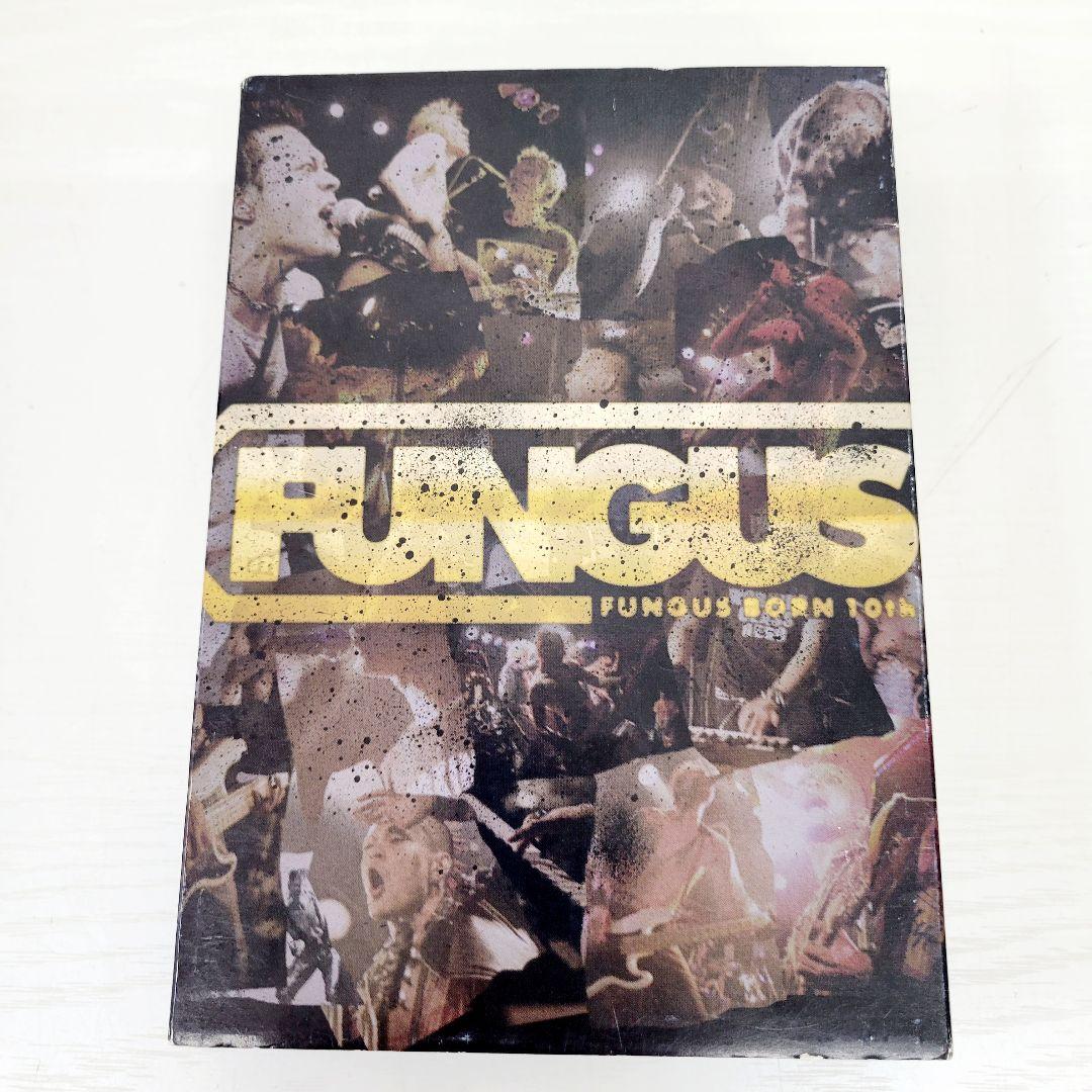 9 TRACY BORN 20th TRACY DVD セット