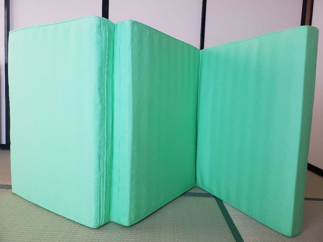 ヘルスウェーブゴールドDCバージョン ジュニアサイズ　専用シーツ付