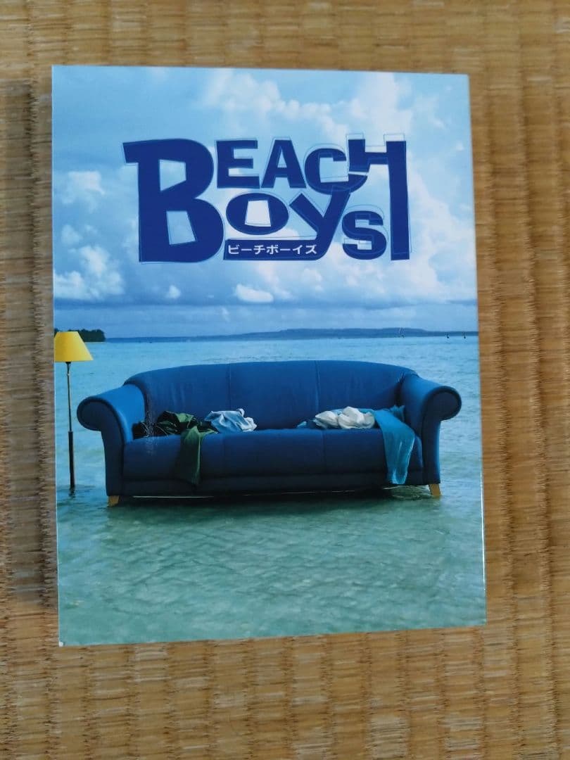 【ビーチボーイズ】 DVD-BOX TV+SP dvd 7枚組