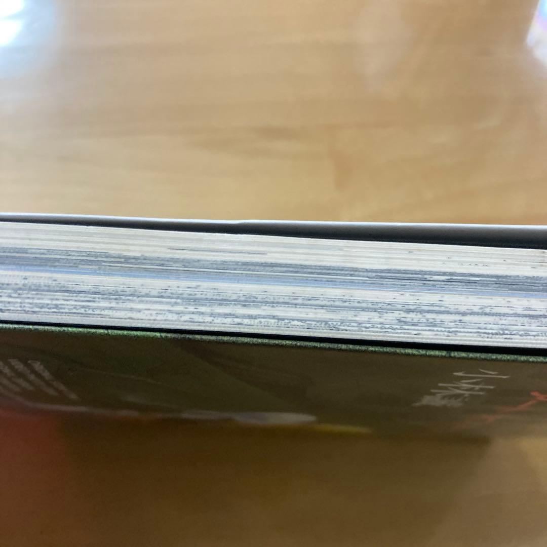 アート オブ ドラゴンズヘブン 小林誠