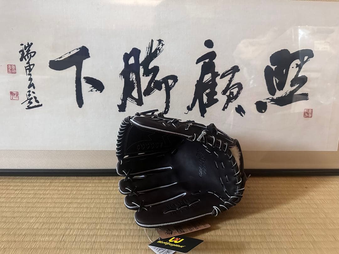 【新品未使用・タグ付】ワールドペガサス 硬式 左投手用 WGK5PT13