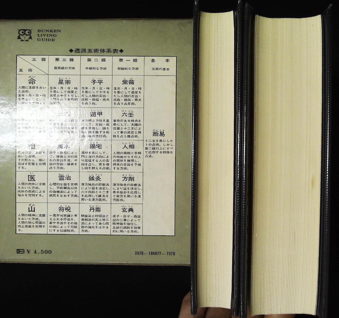 中国正統五術占い全書 2b24