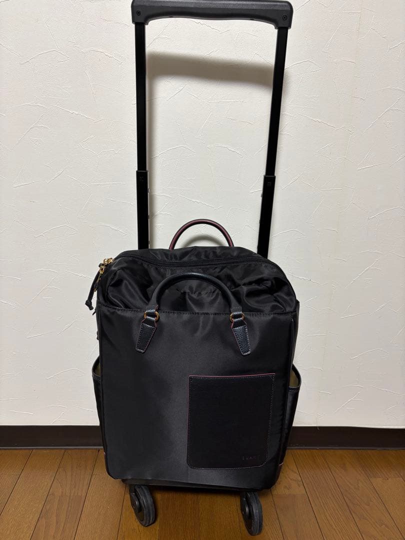 swany スワニー　キャリーバッグ　敬老の日のプレゼントに　シルバーカー