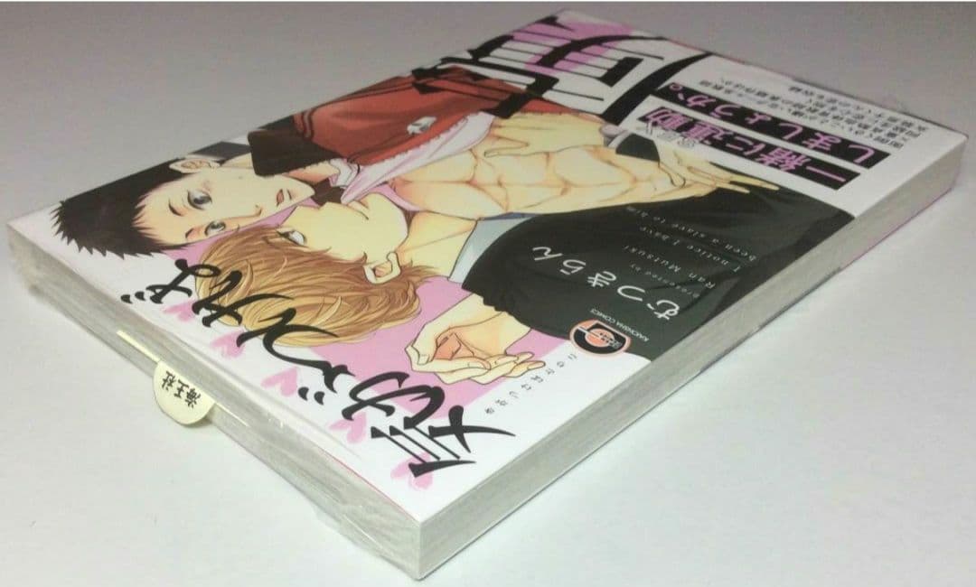 サイン本＆直筆イラスト1枚★むつきらん★未開封 直筆サイン BL ボーイズラブ