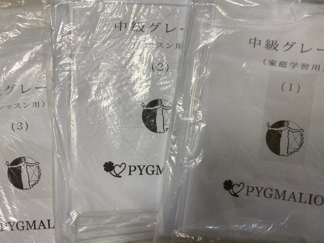 ピグマリオン中級グレード　全12巻