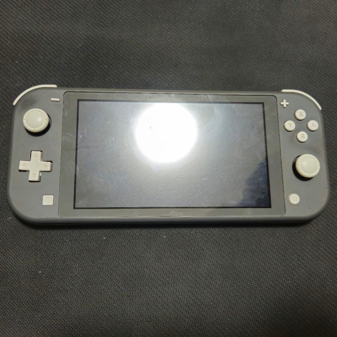 ジャンク Nintendo Switch Lite 本体 不動品
