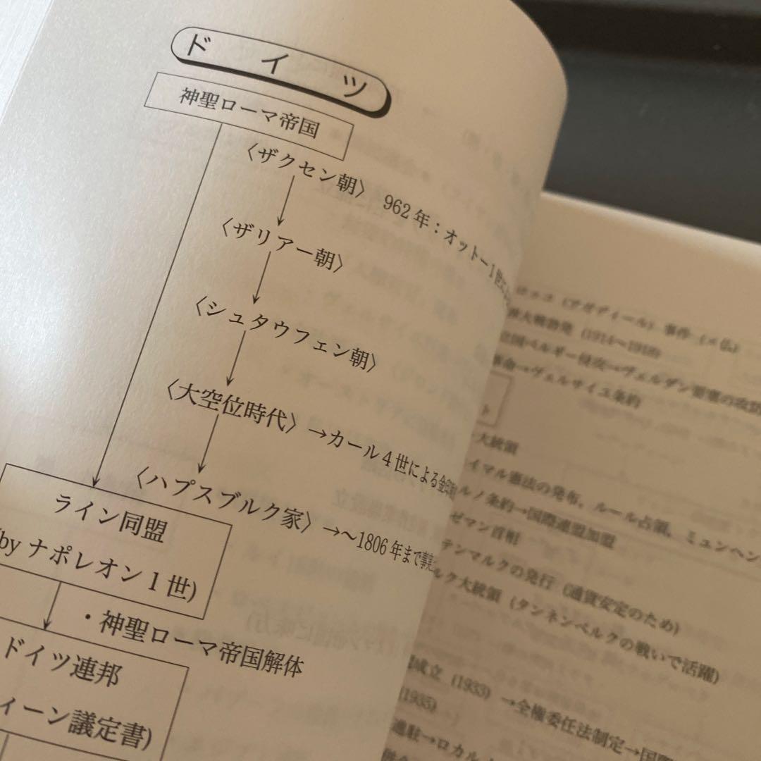 【ほぼ最新版】代ゼミテキスト 受験世界史最後の救世主 佐藤幸夫 2024／25年