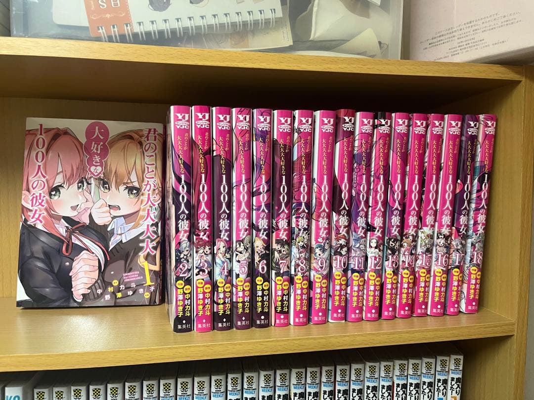 君のことが大大大大大好きな100人の彼女