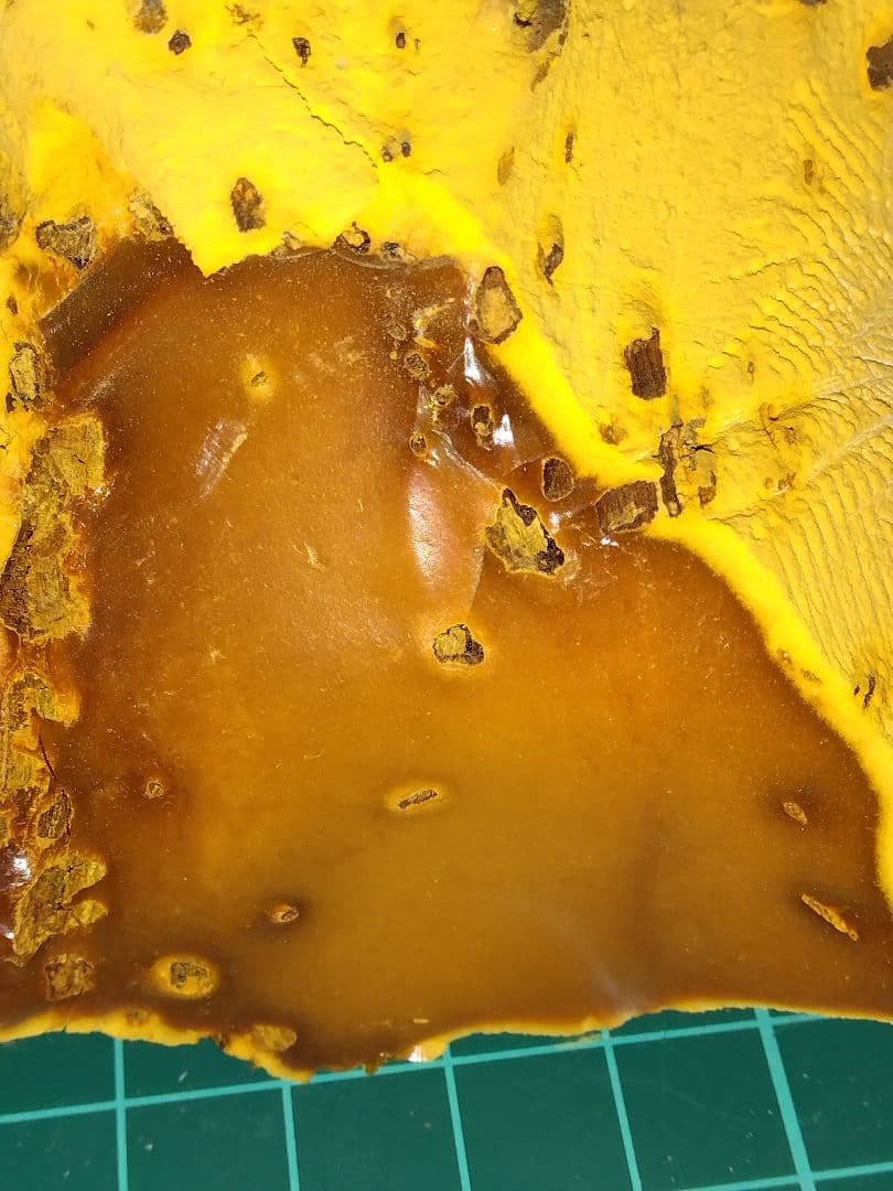 珪化木？産地不明　内部鉱物化　鉱物標本　不思議な石　オパール化？