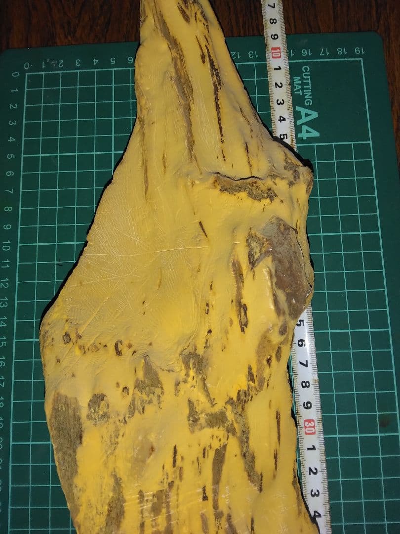 珪化木？産地不明　内部鉱物化　鉱物標本　不思議な石　オパール化？