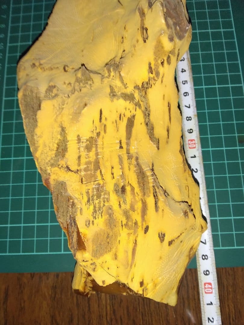 珪化木？産地不明　内部鉱物化　鉱物標本　不思議な石　オパール化？