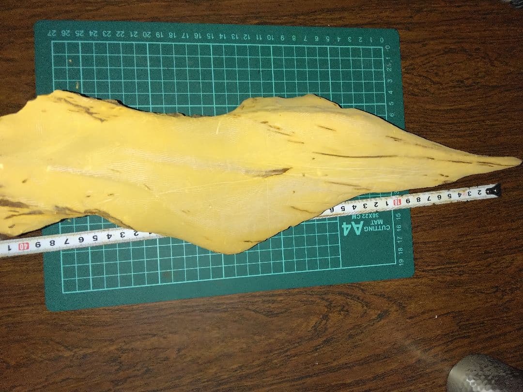 珪化木？産地不明　内部鉱物化　鉱物標本　不思議な石　オパール化？