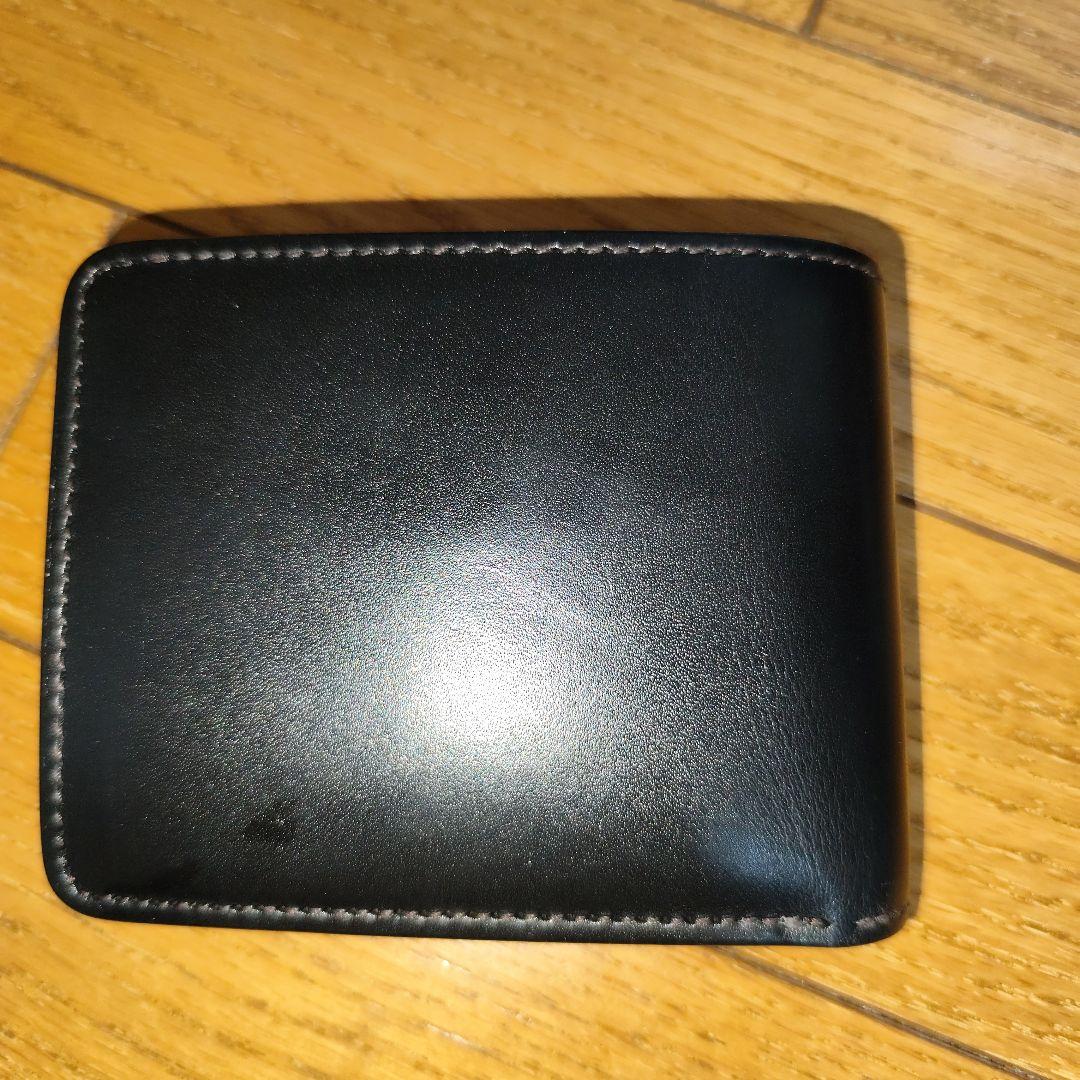 ワイルドスワンズ　グラウンダー　ロイドヴァッシュ　WILDSWANS