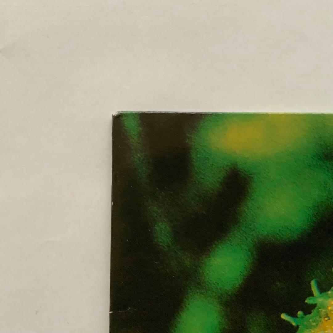 NIRVANA all apologies 12inch アートプリント2枚付