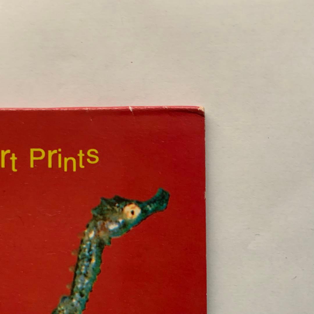 NIRVANA all apologies 12inch アートプリント2枚付