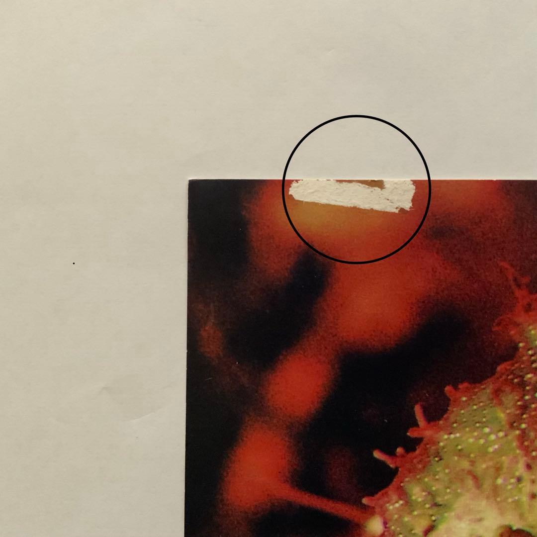 NIRVANA all apologies 12inch アートプリント2枚付