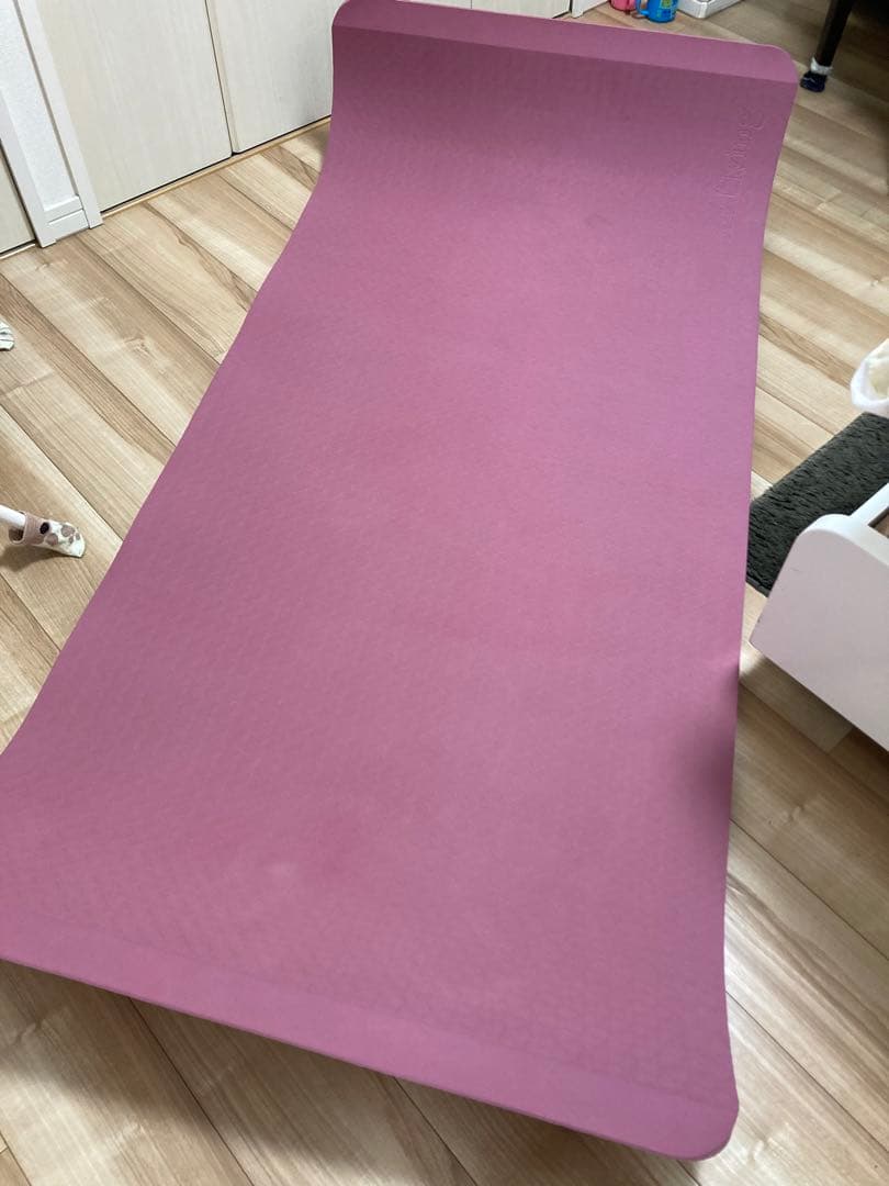 ドクターリビング　マット