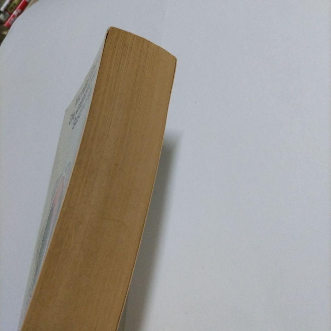 洋書 Michael Ende: Die unendliche Geschichte