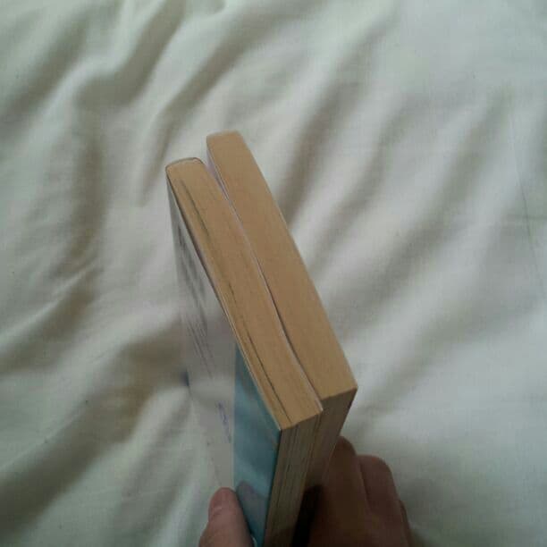 あおい坂、リボーン、ドラゴンボール