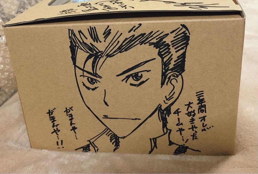 弱虫ペダル、放課後ペダル、スペアバイク、原画集、収納BOX セット