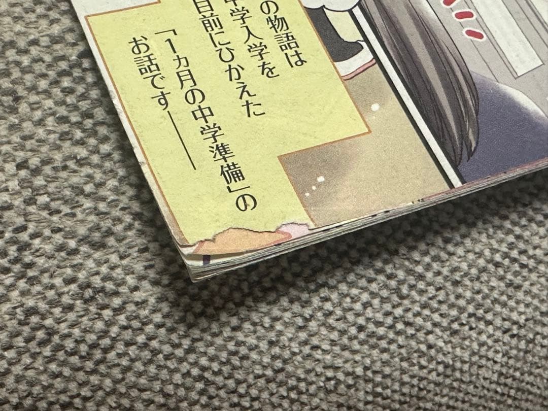 ベネッセ 進研ゼミ DM ダイレクトメール 漫画 チャレンジ 小学生版