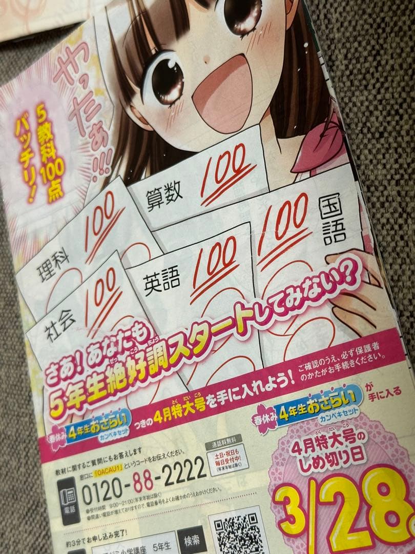 ベネッセ 進研ゼミ DM ダイレクトメール 漫画 チャレンジ 小学生版