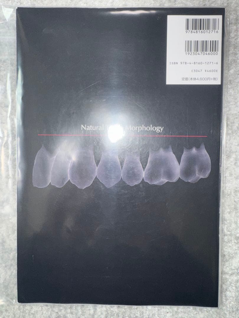 【裁断済み】歯牙形態