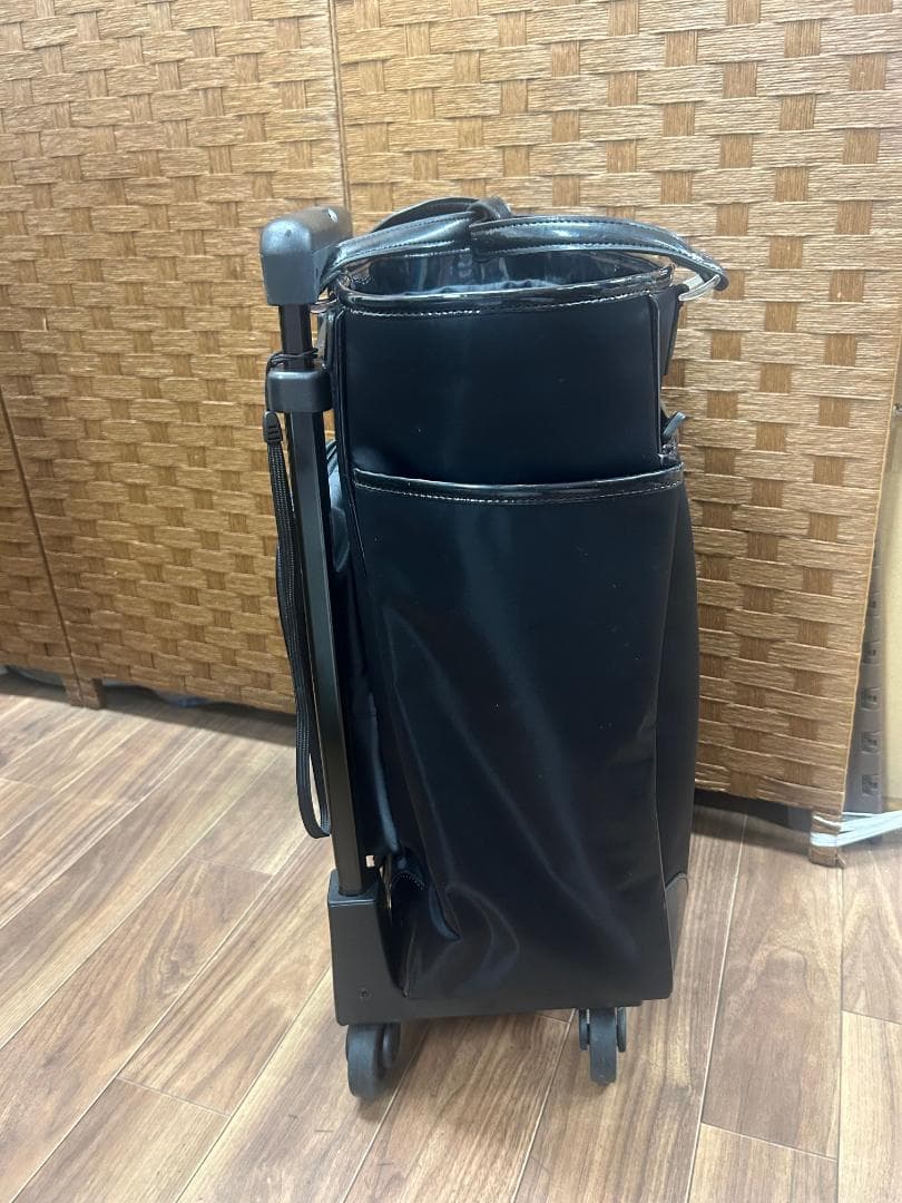 SWANY スワニー キャリーバッグ カート 脱着可能