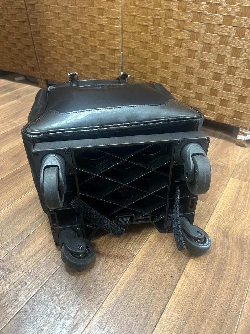 SWANY スワニー キャリーバッグ カート 脱着可能