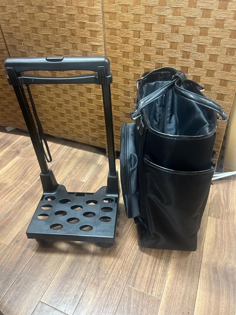 SWANY スワニー キャリーバッグ カート 脱着可能