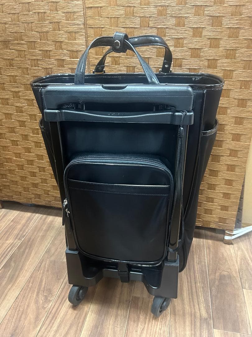 SWANY スワニー キャリーバッグ カート 脱着可能