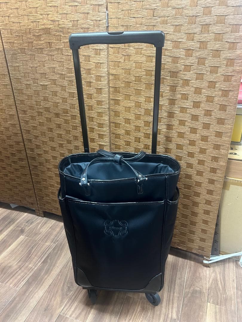 SWANY スワニー キャリーバッグ カート 脱着可能