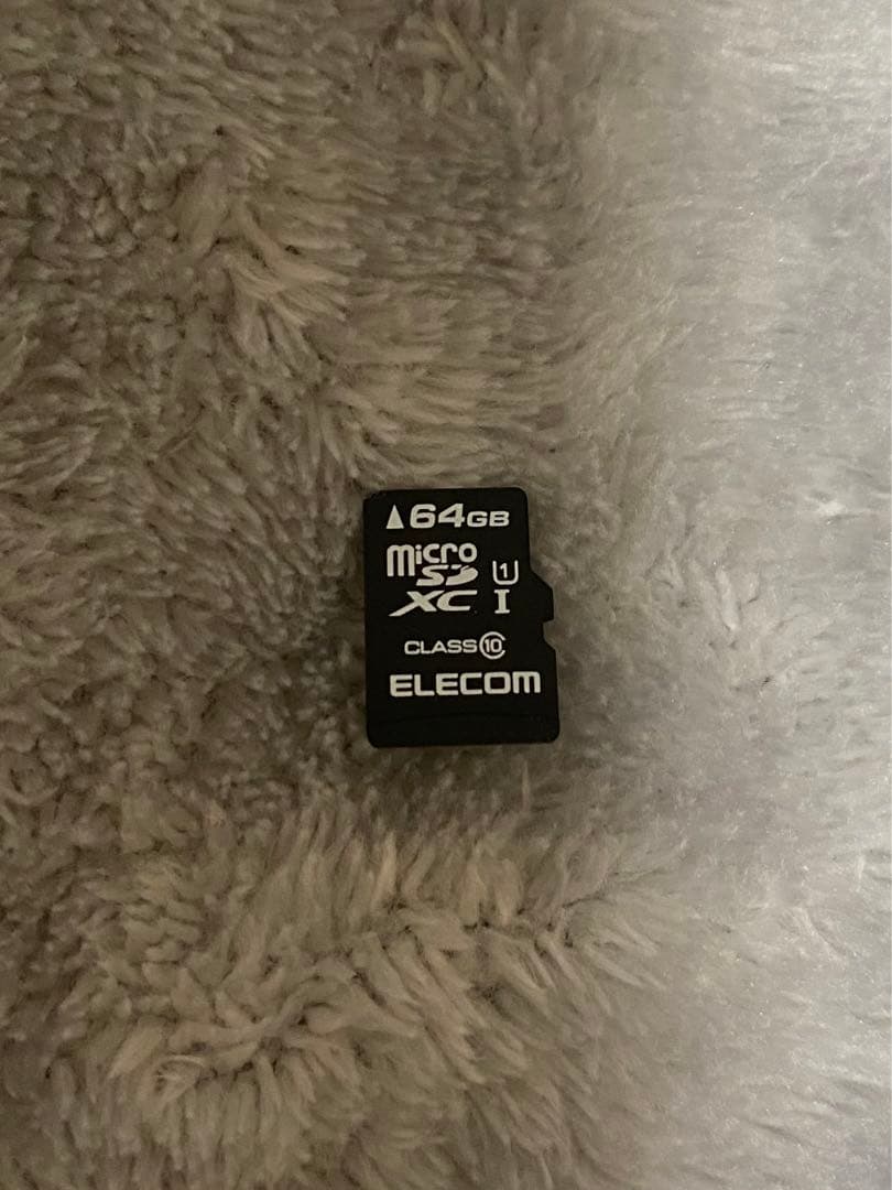 Nintendo Switch Lite グレー　microSD 64GB付き