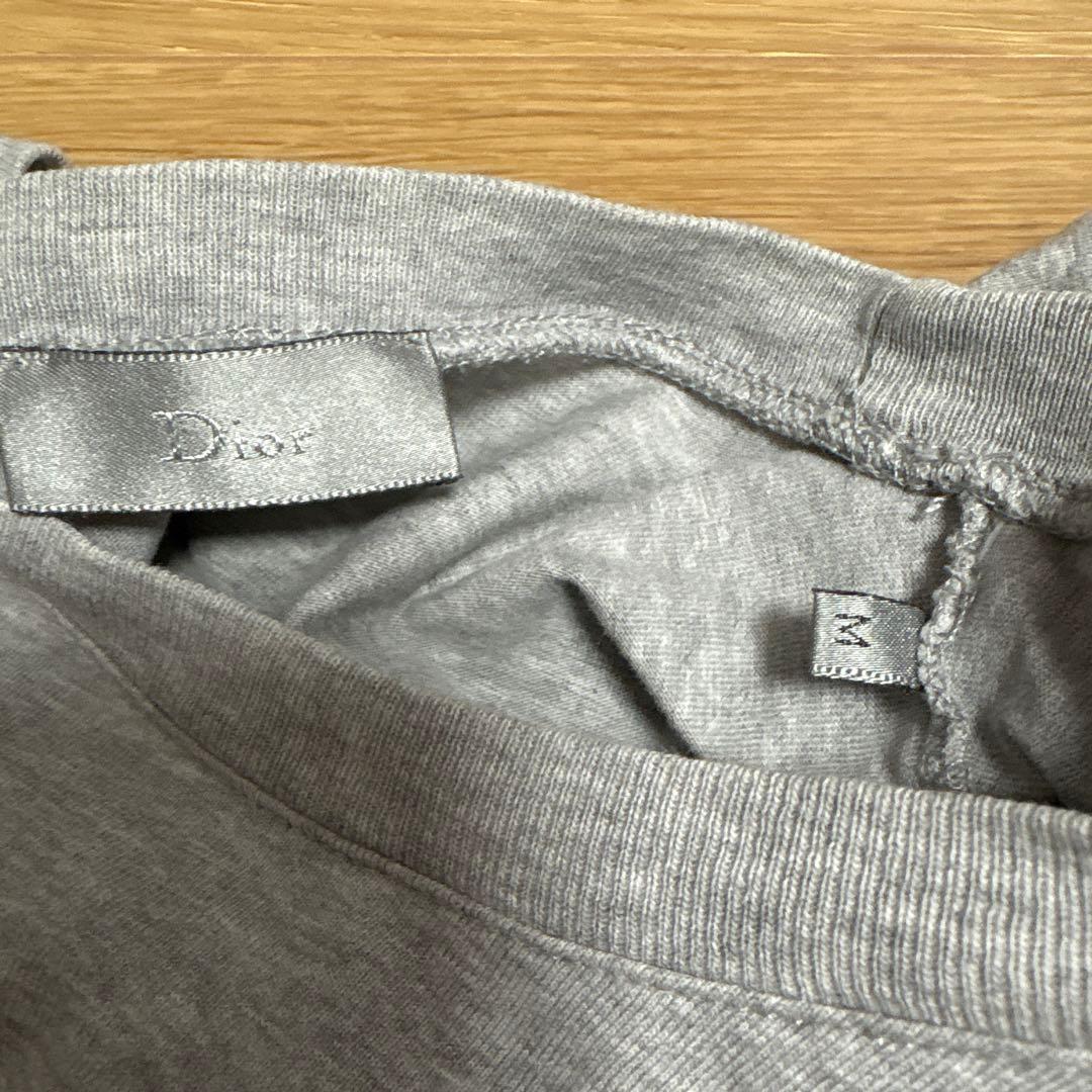 エディ期 Dior Homme 07AW エンジェルウイング グレー Tシャツ