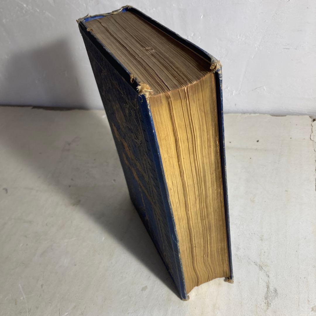 希少 19世紀 ジョージ・ダルジール挿絵 アラビアンナイト アンティーク 洋書