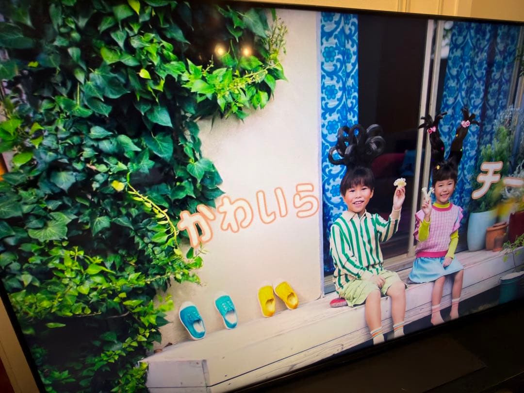 REGZA 65Z770L タイムシフトマシン搭載4K液晶レグザ 65型 東芝