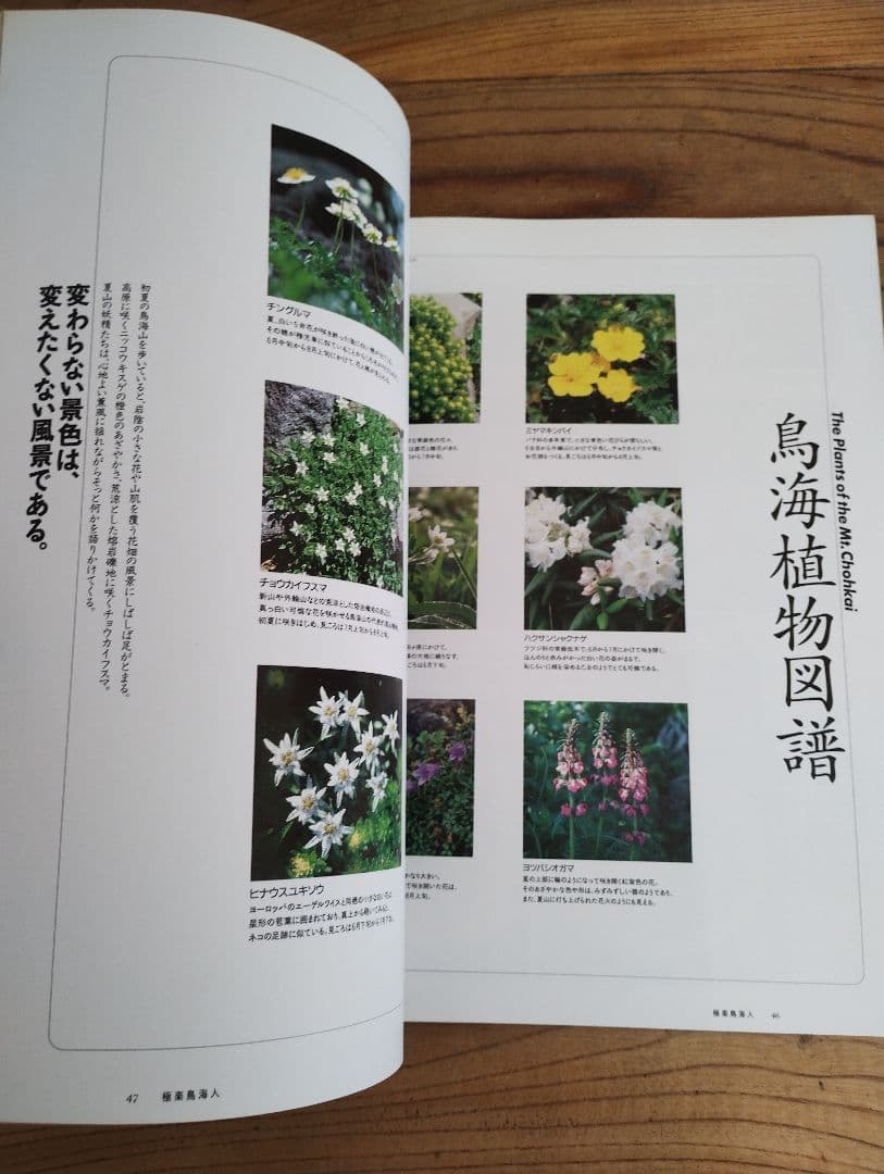 極楽鳥海人 1999年発行