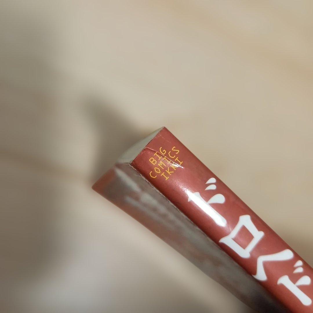 ドロヘドロ 全22巻セット　23巻抜け　 林田球 小学館