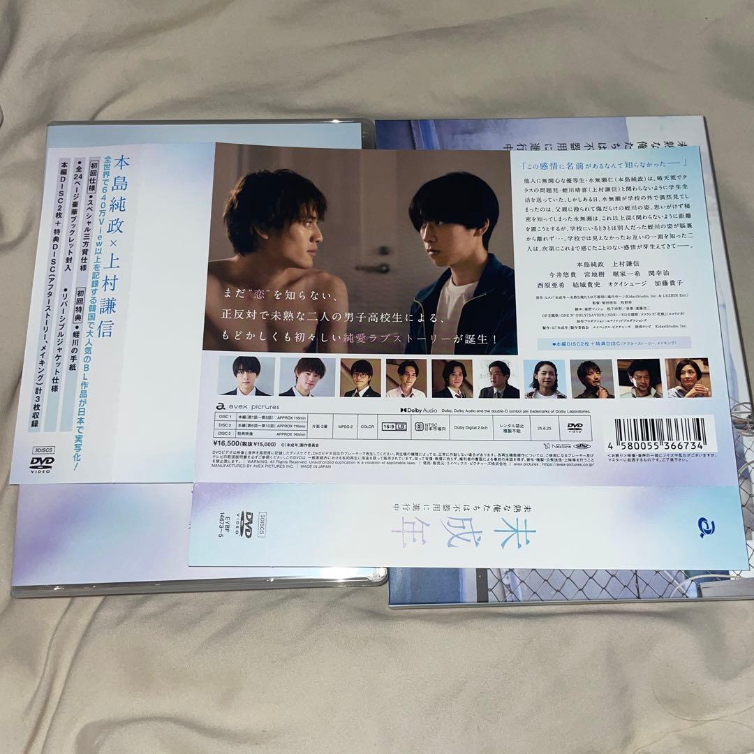 未成年~未熟な俺たちは不器用に進行中~ DVD BOX [DVD]