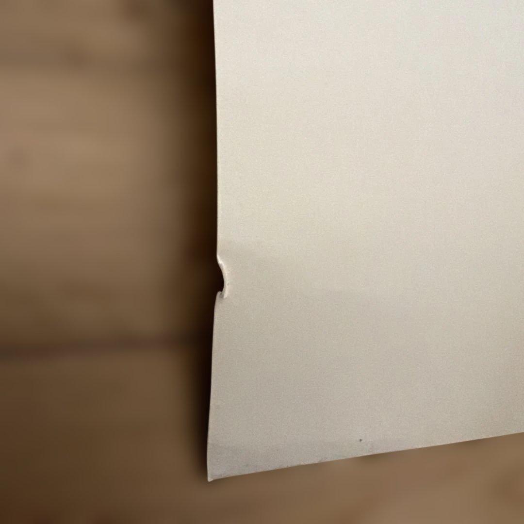 アンディウォーホール　アニマルシリーズ　大判ポスター　アートナウギャラリー中古品