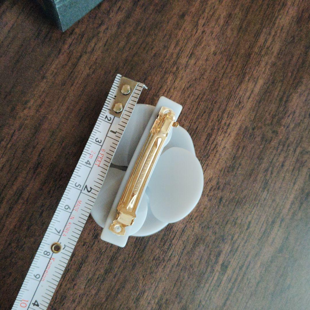 る*か様 最終価格ALEXANDRE DE PARISカメリアヘアアクセサリ