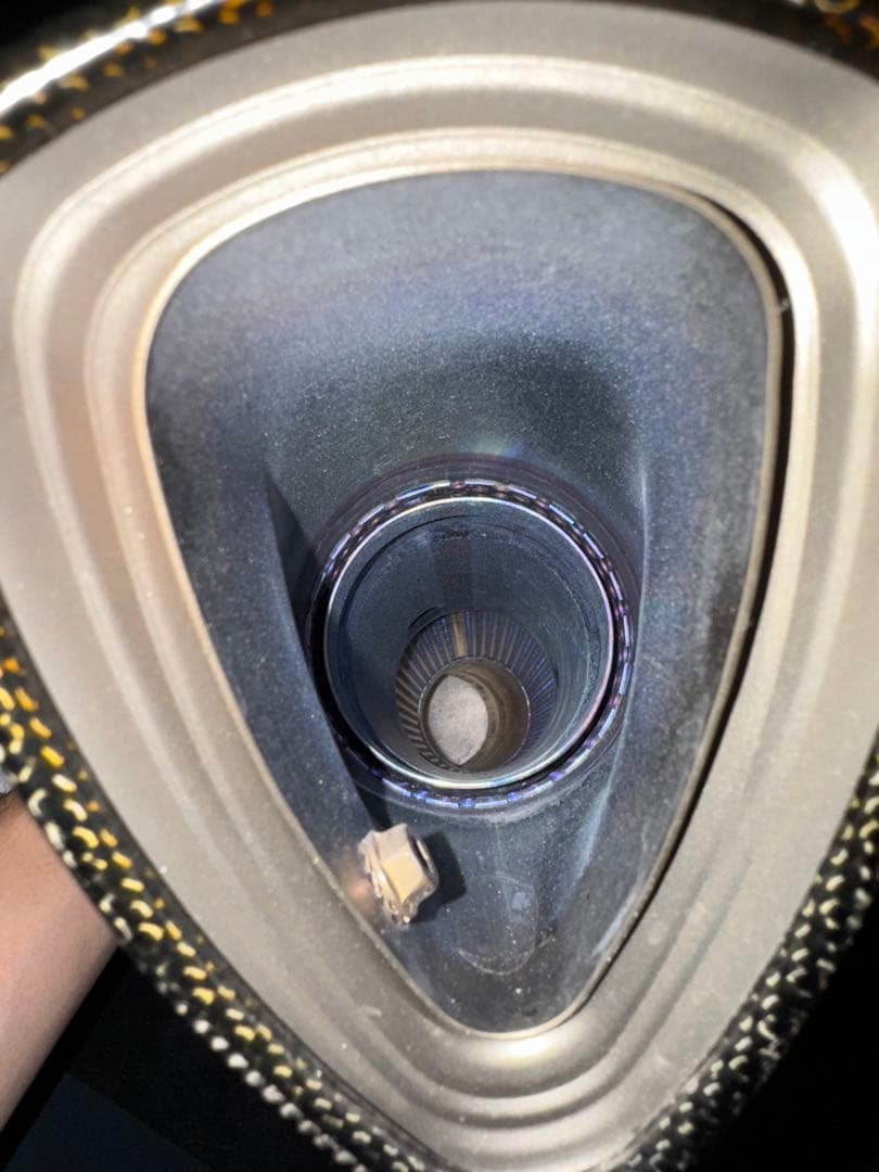  S1000RRコンペティション アクラポビッチ