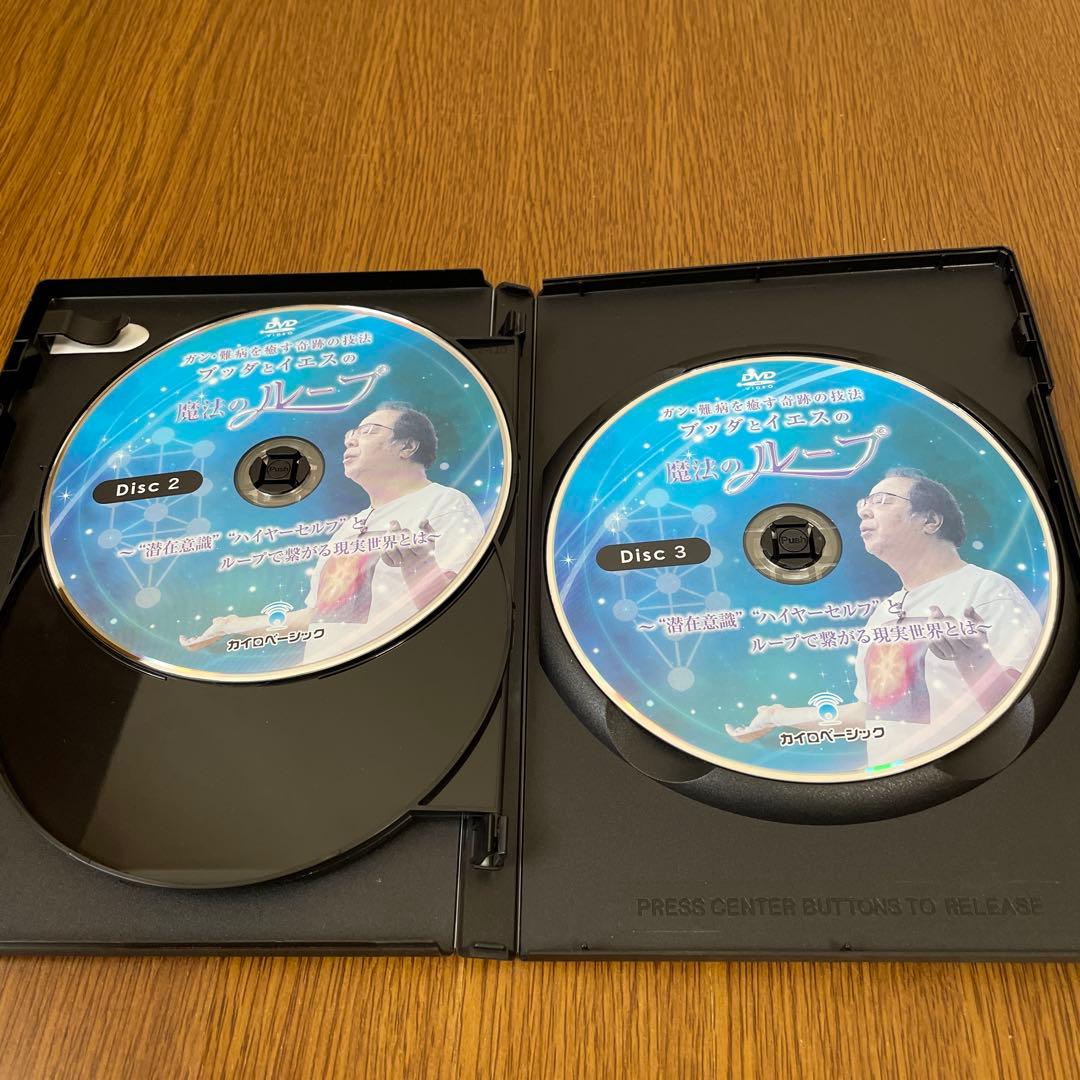 【美品】【ブッダとイエスの魔法のループ】丸山修寛 整体手技 カイロベーシック