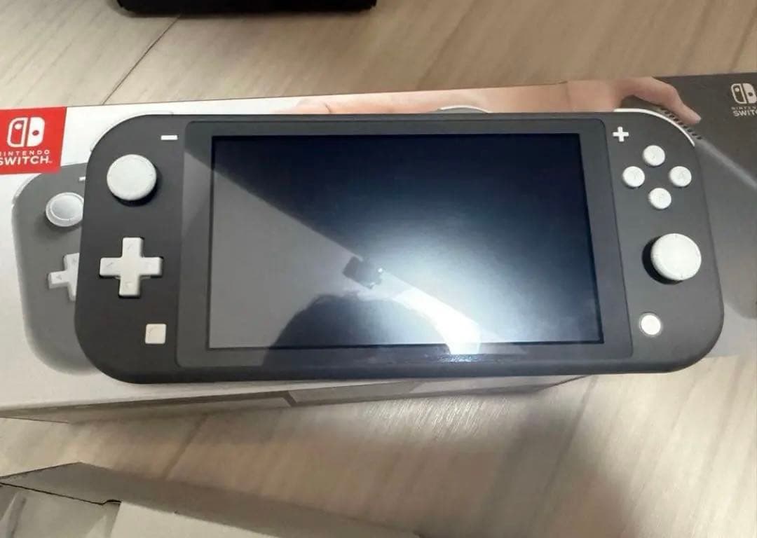 Nintendo Switch Lite グレー　ケース付き