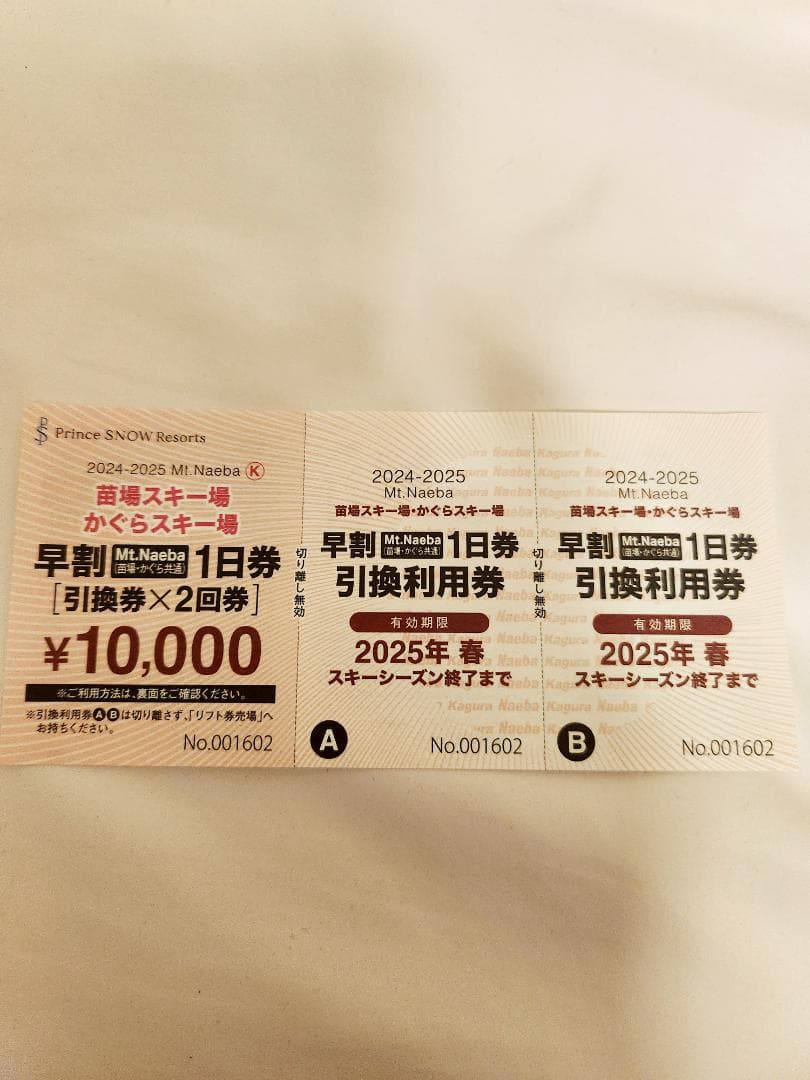かぐら みつまたスキー場早割1日券 引換券×2枚
