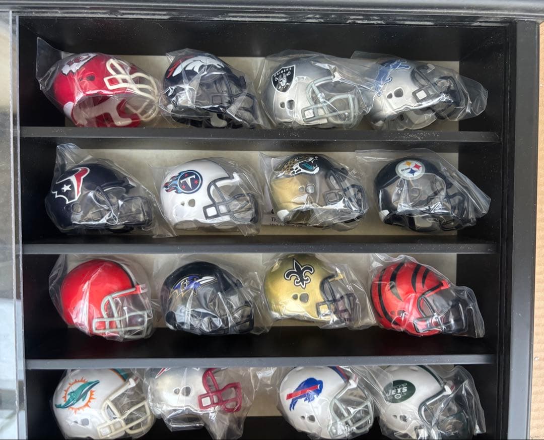 Riddell NFL ミニヘルメットコレクション